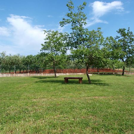 Gedići Holiday Home Rosa מראה חיצוני תמונה