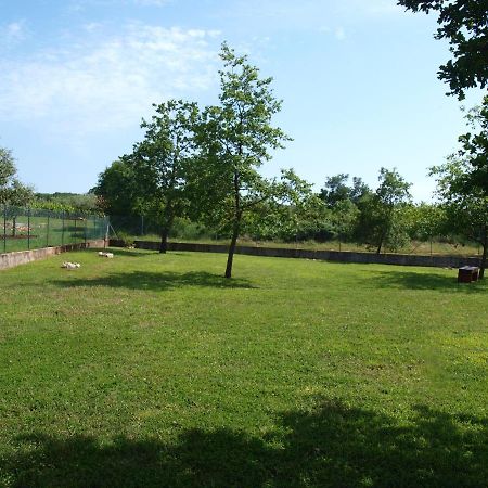 Gedići Holiday Home Rosa מראה חיצוני תמונה